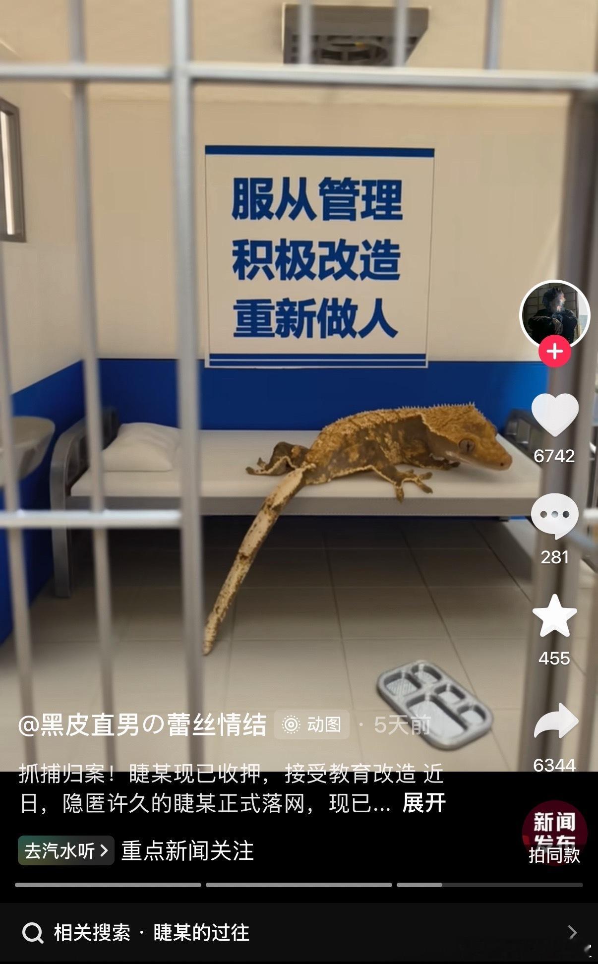 犯什么事儿了​​​