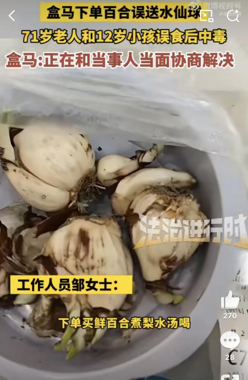 北京一位女士在盒马买鲜百合，想给感冒的孩子煮梨汤，结果收到的却是有毒的水仙球。老