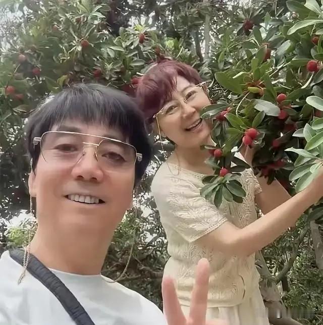 实话实说，范明演技我是真不敢恭维，演什么都那么夸张，而且台词不清楚，和林永健不是