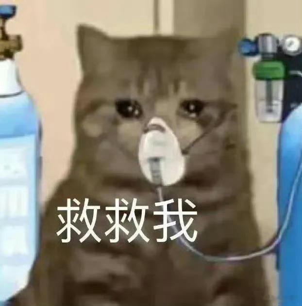 昨晚和思思吃了晚饭，吃完饭我扎手指头测了下血糖，因为吃饭的时候喝了一个很甜的青梅