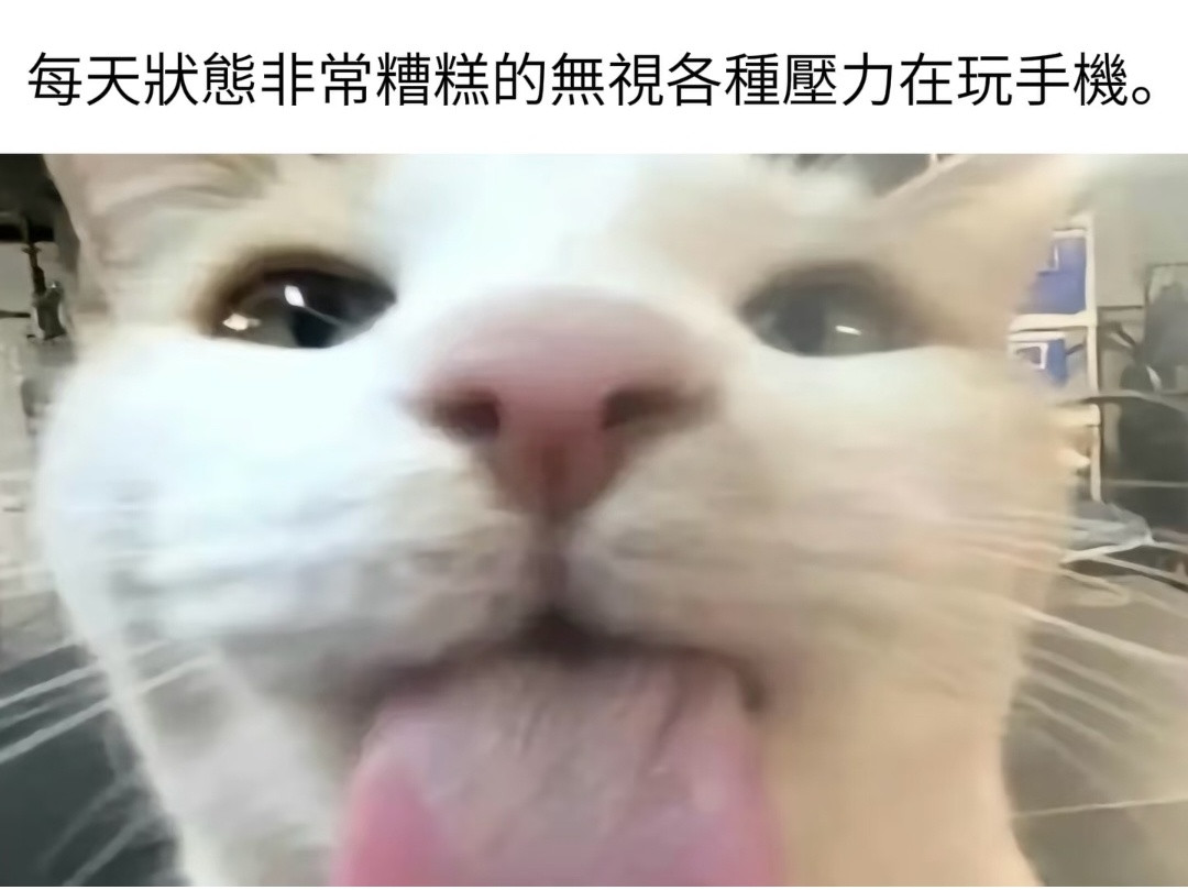 我很痛苦你們知道嗎我很想賺錢但我不想上班你們懂嗎