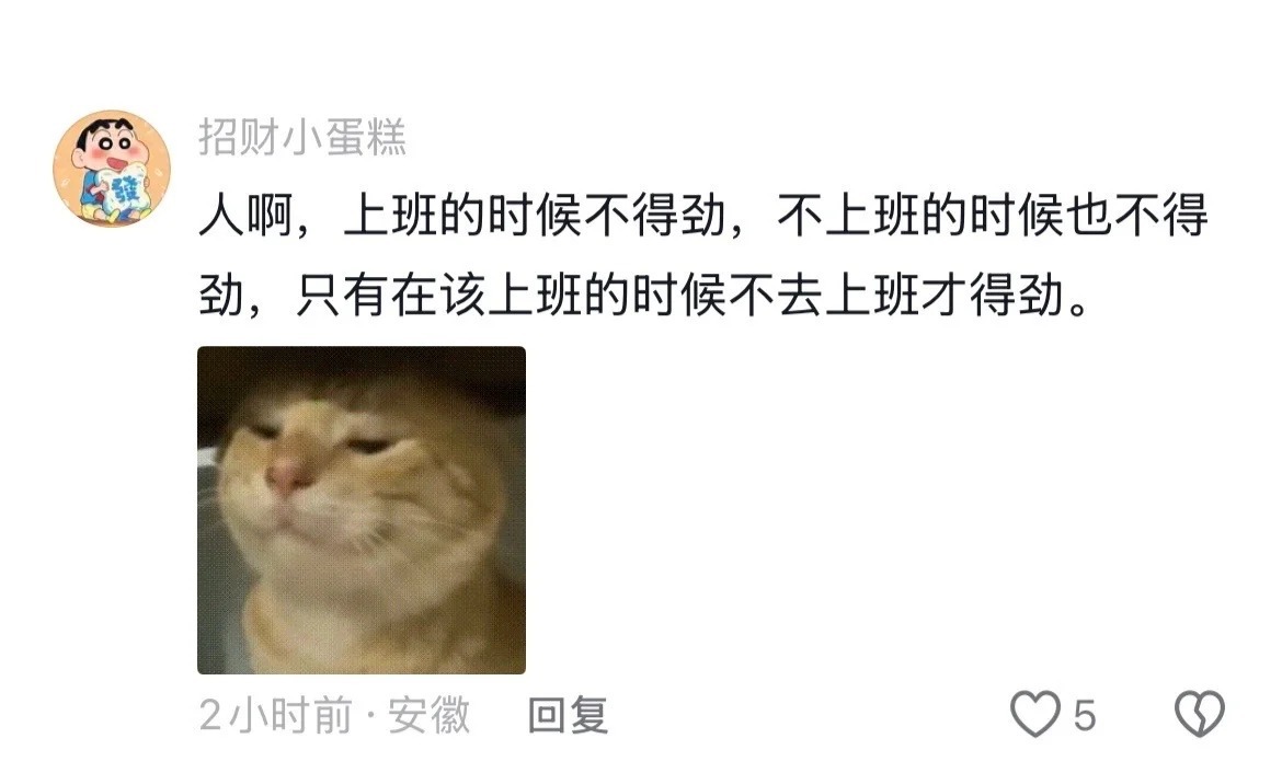 恋爱脑见多了，工作脑还是第一次见😂😱