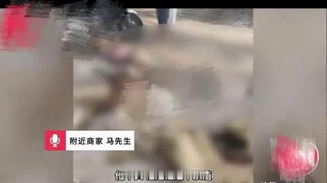 河北沧州，男子赶着50只羊在国道上逆行，一辆大货车冲过来撞死20多只，男子向大货