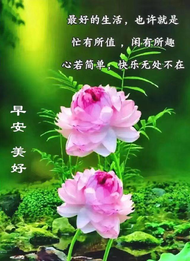 心简单，世界就简单幸福才会到来；心自由，生活就会自由，在什么地方都快乐。有