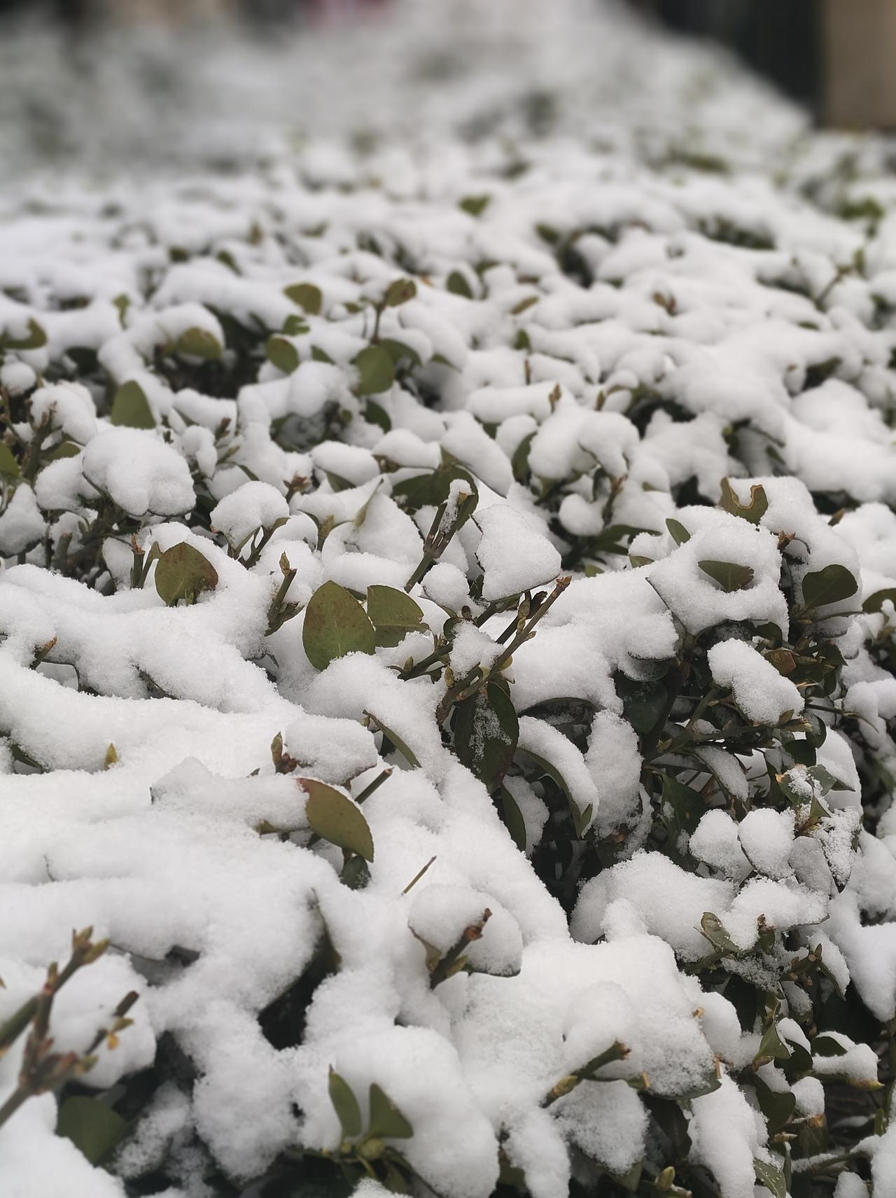 真正的强大，是学会“不在乎”杨绛先生说：我们曾如此期盼外界认可，到最后才知