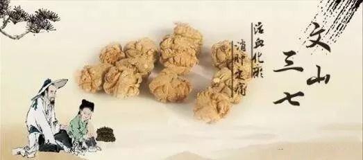 三七跟降压药能一起吃吗?