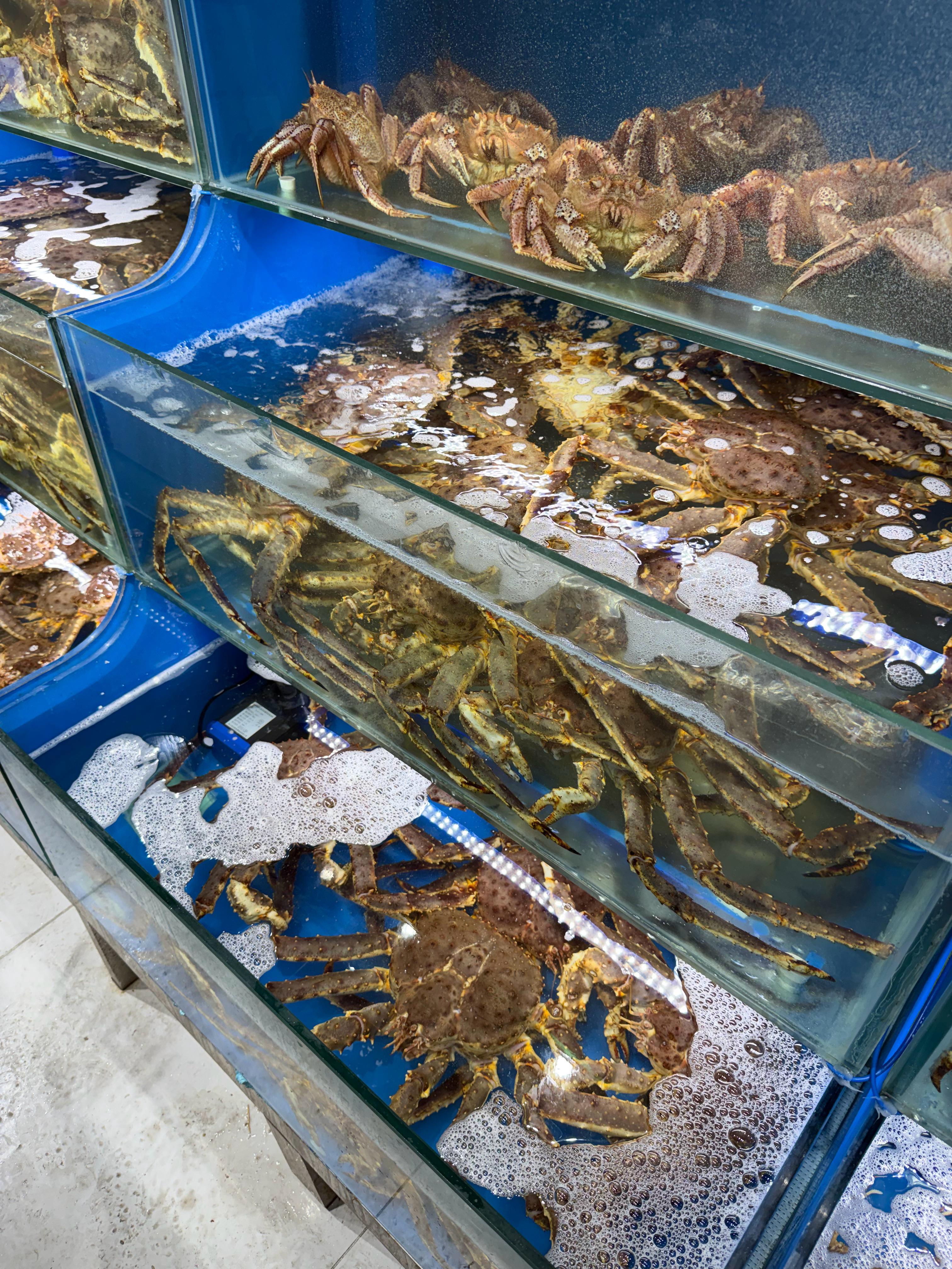 给长辈们整了个7斤的帝王蟹，还有新鲜的北极贝和黄贝，以及十几个东北菜，大家吃的老