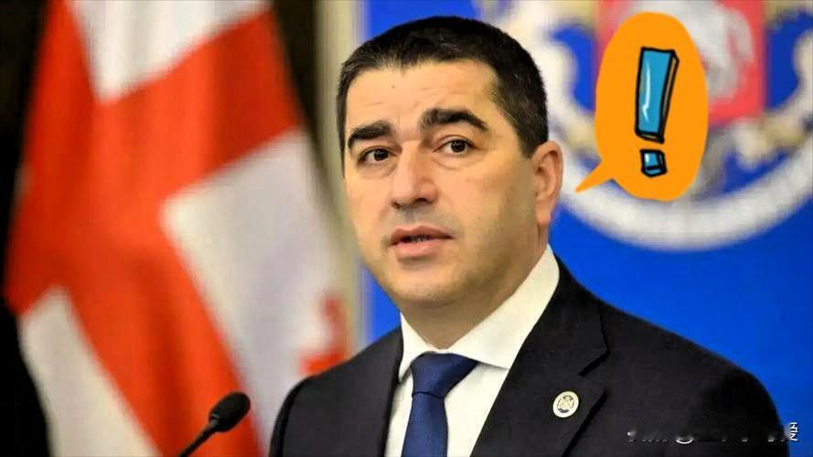 格鲁吉亚终于清醒了。格鲁吉亚议会议长沙尔瓦·帕普阿什维利4月17日对本国记者