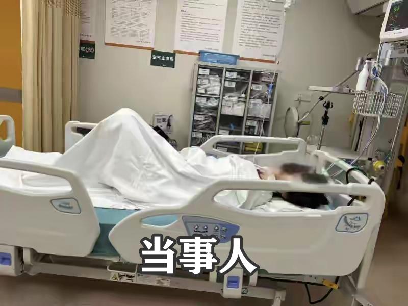 上海，反虐猫志愿者被逼到自尽，挖出的细节：1、施暴者不是一两个人，而是全国