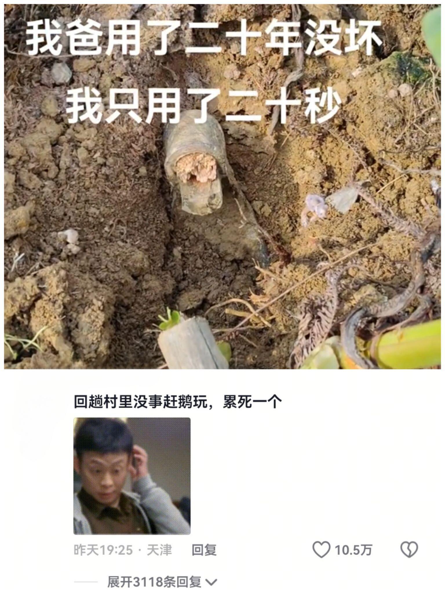 爸爸不语，只是一味的共鸣