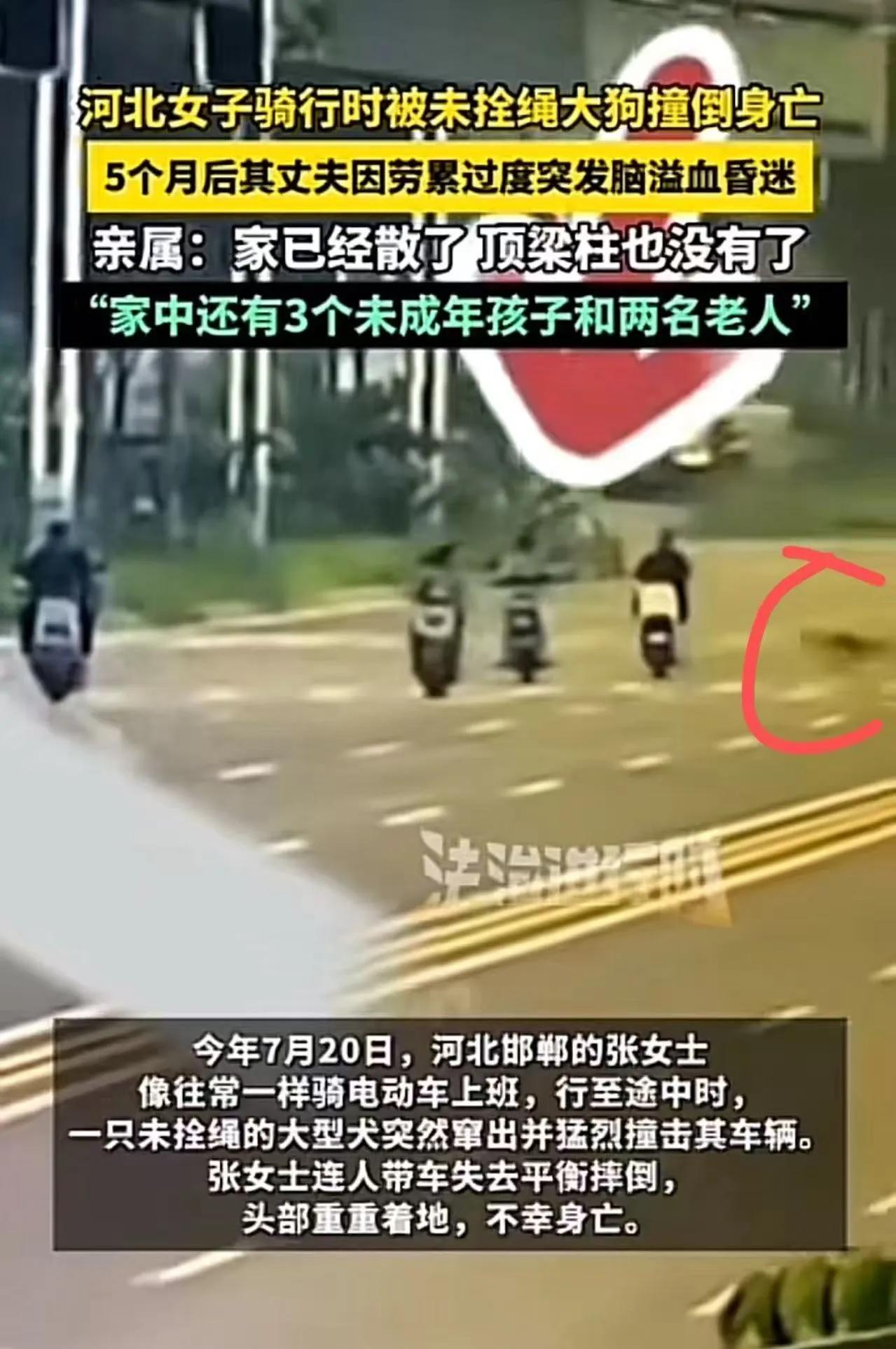 太扎心了。河北邯郸这事，看完真不知道该先骂谁。今年7月20日，张女士骑电