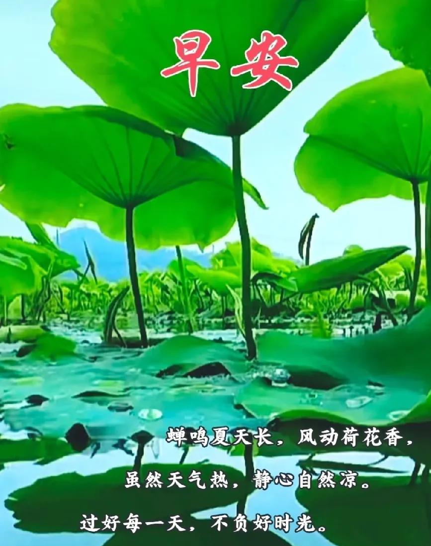 [玫瑰]早上好[玫瑰]蝉鸣夏天长，风动荷花香，虽然天气热，静心自然凉过好每