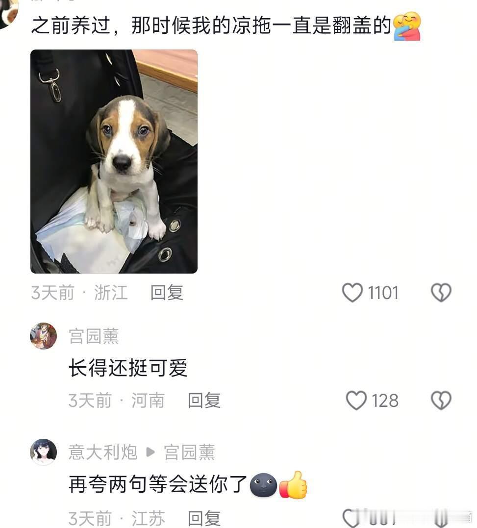 绝对细糠！改变i人性格软弱的邪修大法！必看
