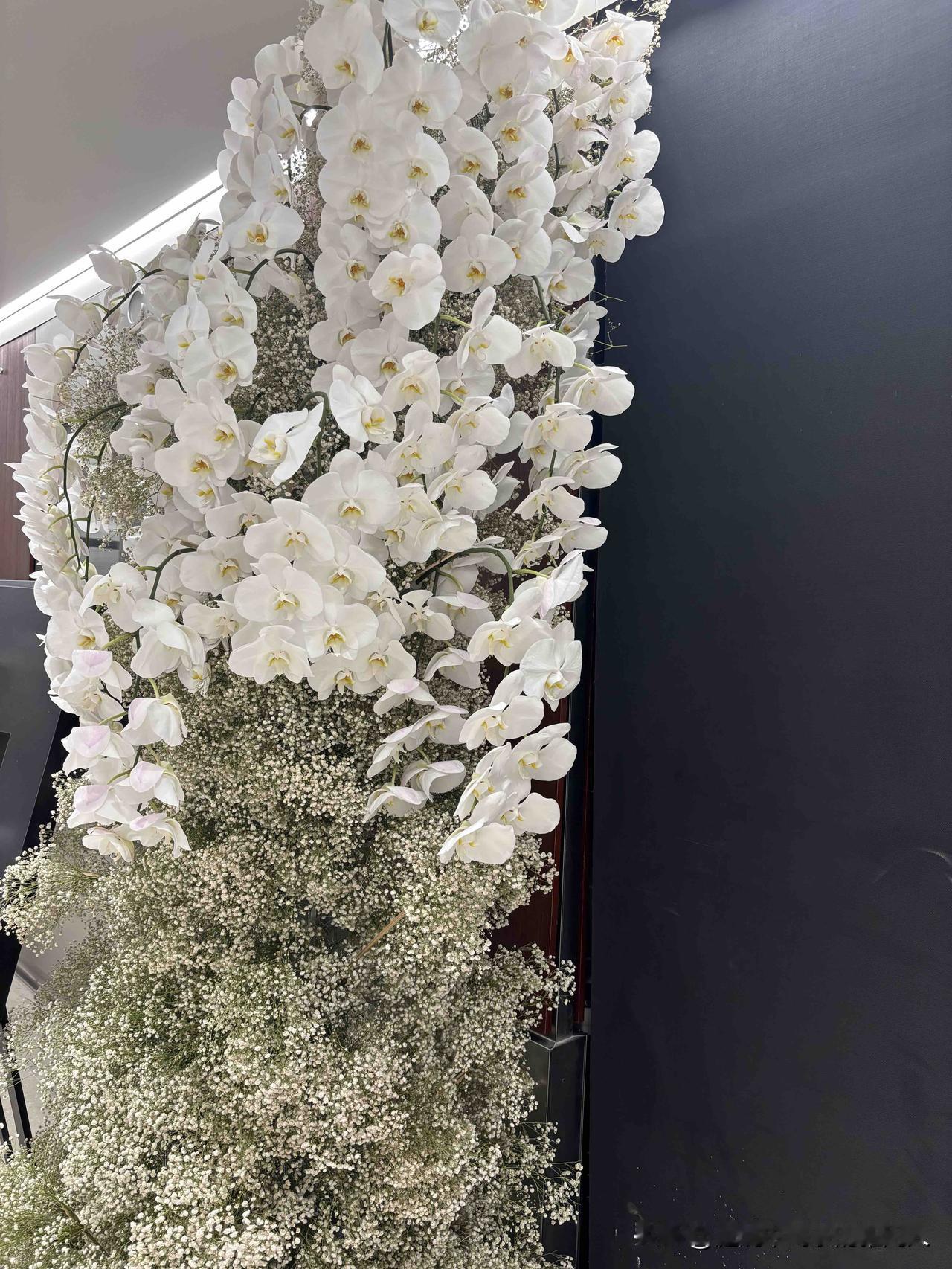 我有一个真实的想法，想告诉我的孩子们。那就是：在我有生之年，想把我对“身后事