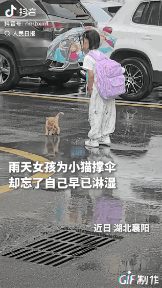 人之初性本善！湖北襄阳街头，一场普通的雨，照出一个不普通的瞬间。一个七八岁的小女