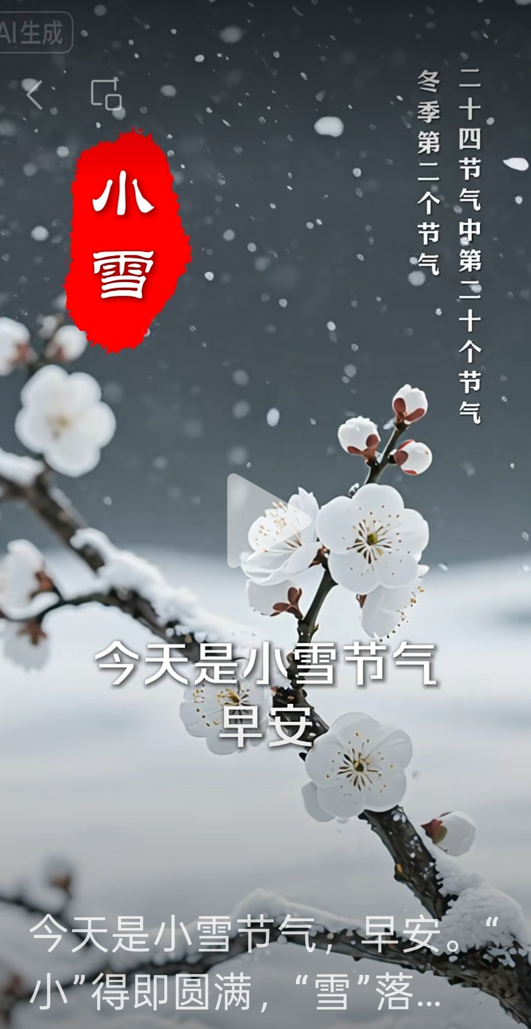 小雪与梅有吟汝州慎独素洁优雅淑女名，银光世界眷苍生。百花梅首福星...