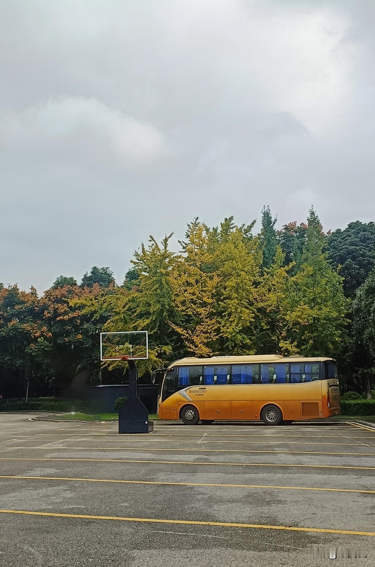 看经济学家讲家长理短，讲人性认知逻辑，这是我没料到的。完了还是向粉丝推荐他的付费