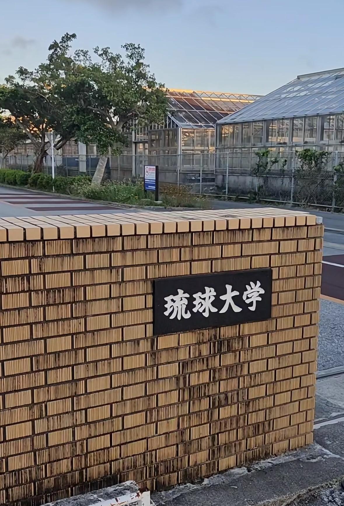 琉球大学以下是关于琉球大学的详细介绍：学校概况