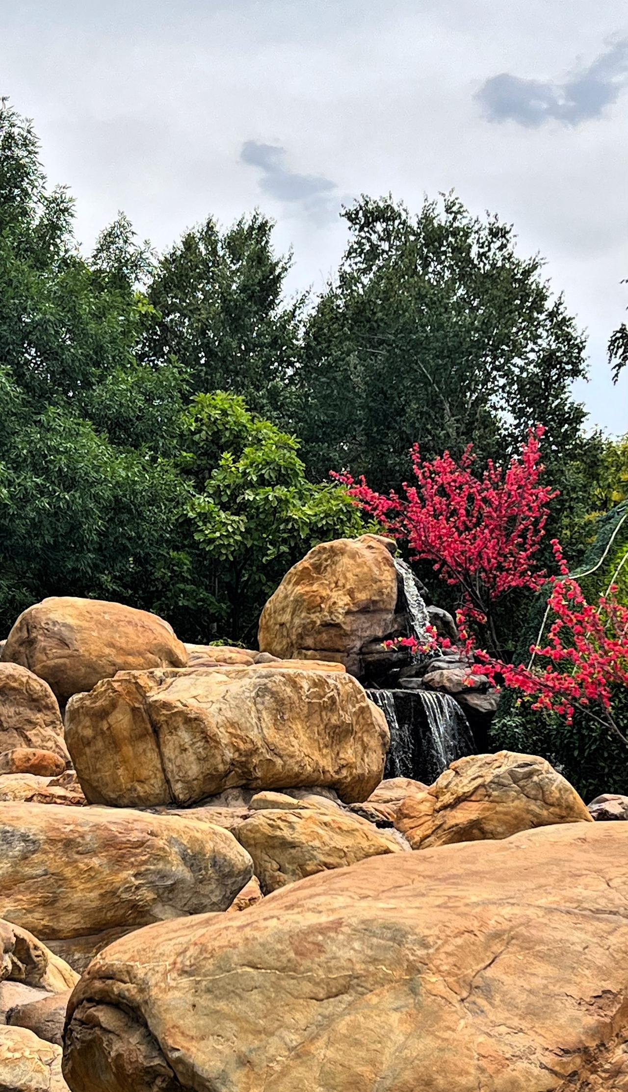 分享一张风景照：静谧的溪流，粉嫩的樱花，大自然的宁静之美。春日生活打卡季