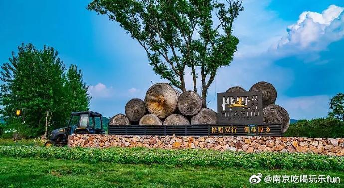 南京文旅绿植遍布，风景如画，清新自然的生态美景令无数人为之向往，趁着秋高气爽，