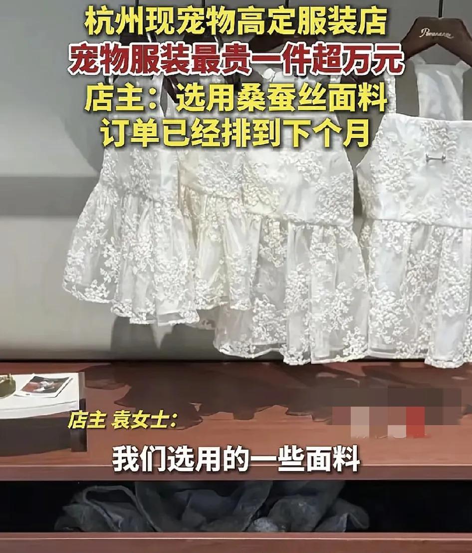 近日，杭州一家宠物高端定制服装店引发了大家关注，一将宠物衣服高达上万元，据店主说
