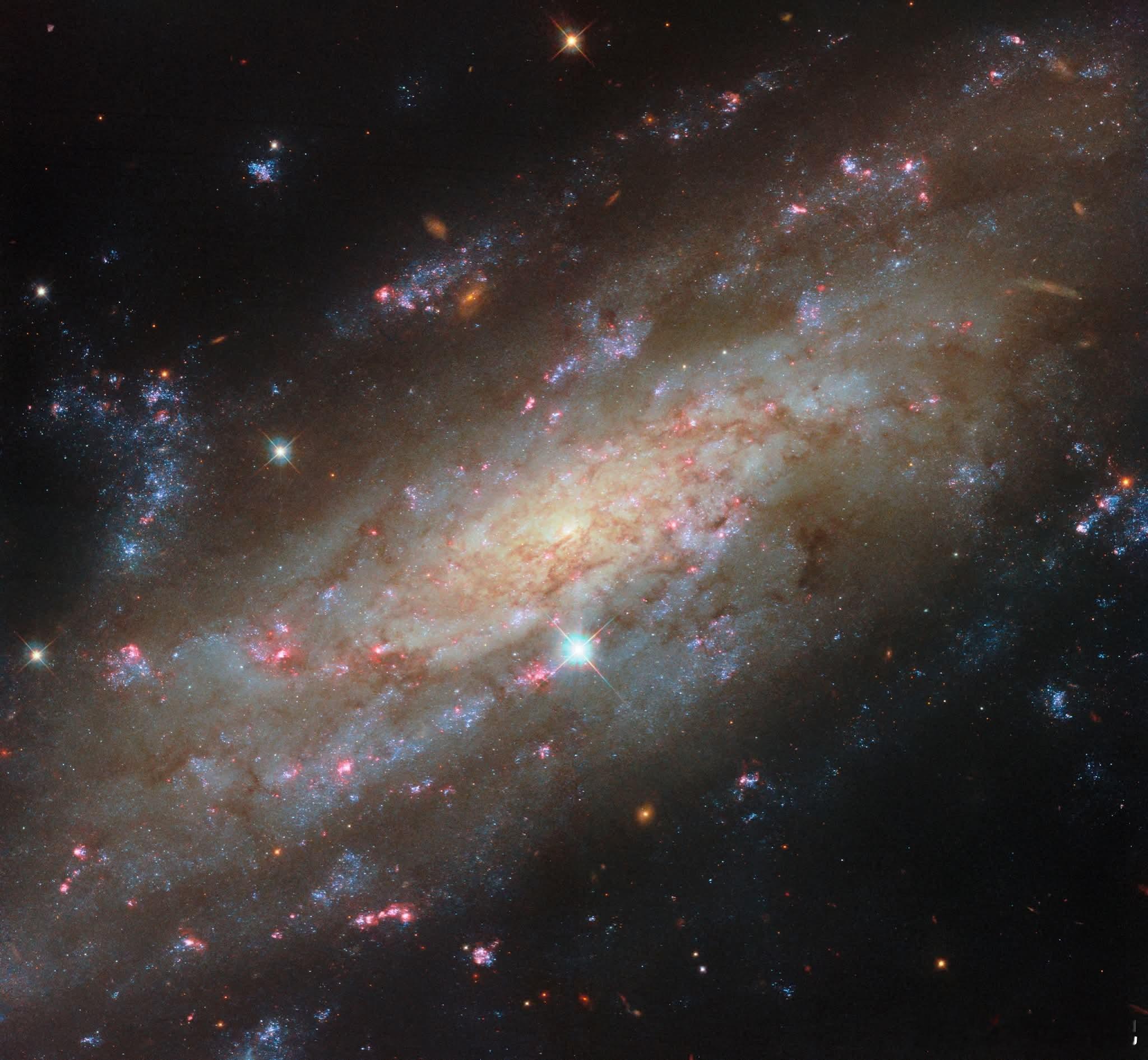 一座雄伟的螺旋星系，NGC3137，作为NGC3175星系群的一员，在宇宙中