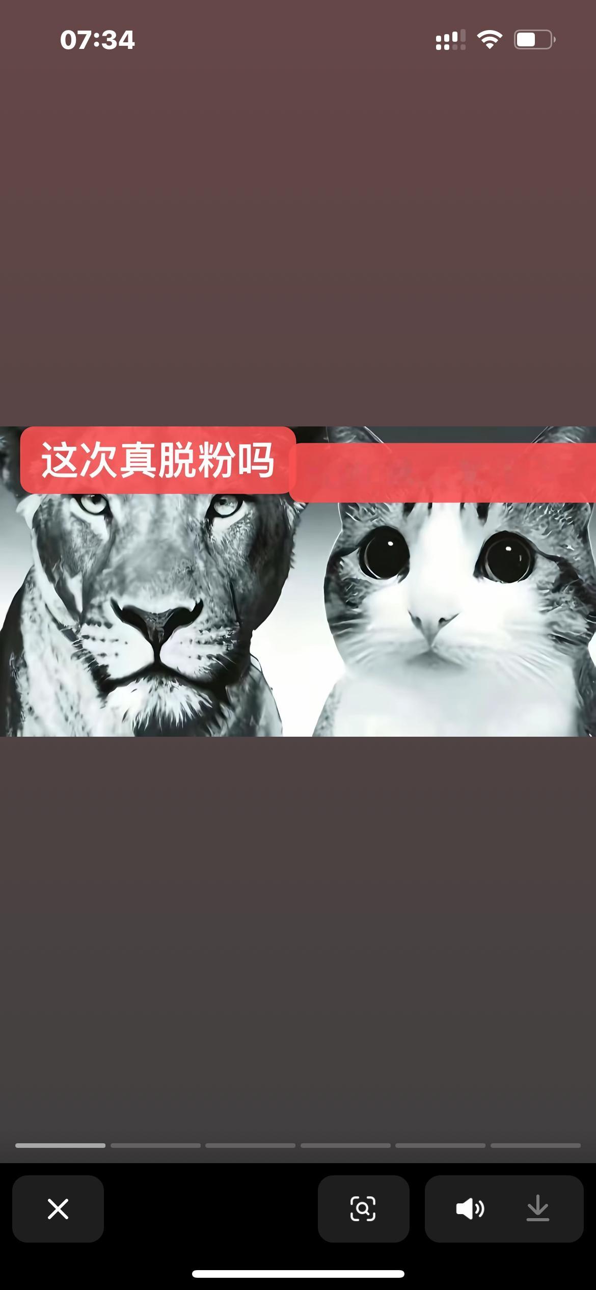 看完这次就跑路！