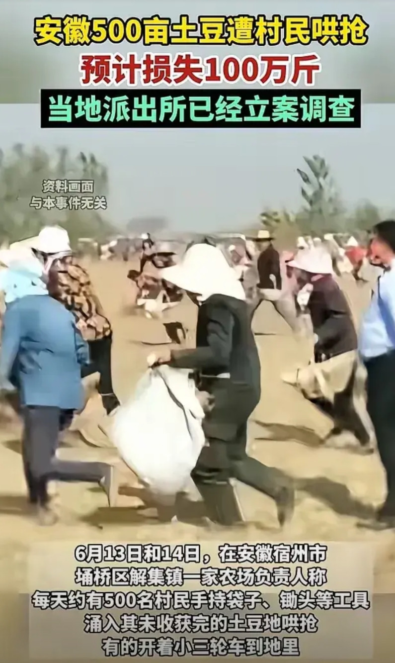 现实版农夫与蛇的故事再次上演。宿州哄抢土豆事件真实的情况是这样的，刚开始，农场