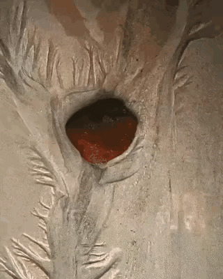 摄影师骗过了所有人，这个是真厉害。