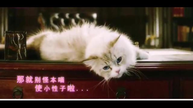 【HIStory系列】离我远一点\/CHOCO TV 追剧疯