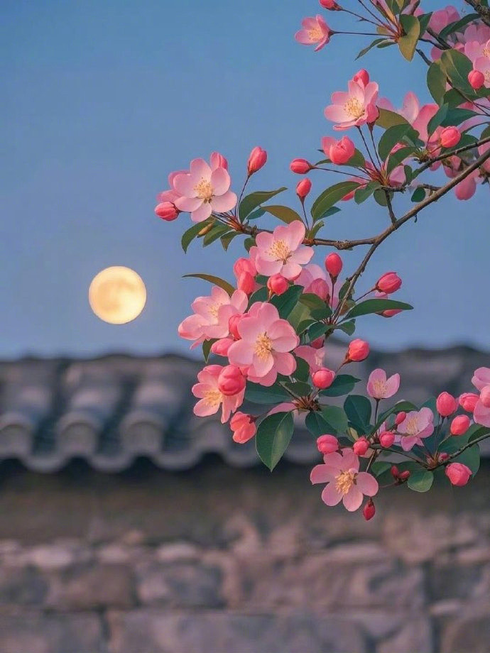 当我们快乐时，我们总是善良的；当我们善良时，我们却未必快乐。
