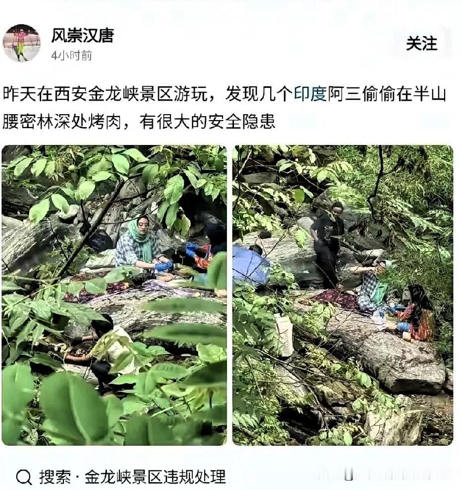 金龙峡景区一网友发现几名印度外籍人员在山林中生火烤肉，网友很是担心，秦岭地区植被