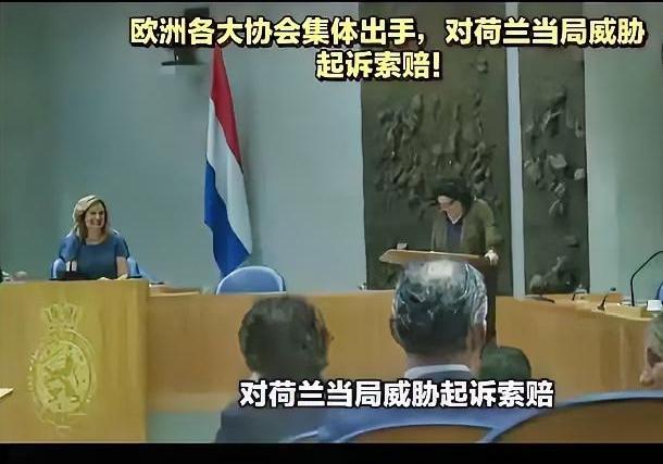 欧洲汽车制造商协会的律师团带着120亿欧元索赔清单冲进海牙市政厅时，荷兰政客们才