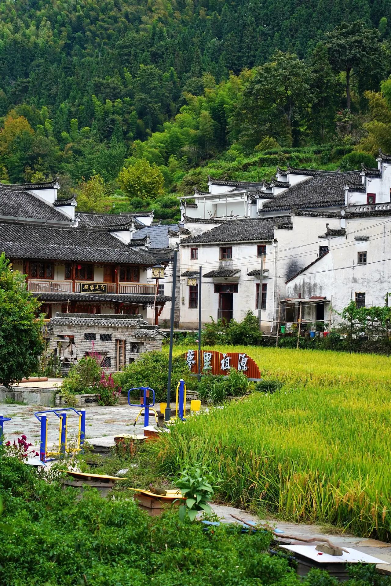 今天和一位南京的初三学生家长聊了聊，他问我2026年南京的命题趋势如何，让我