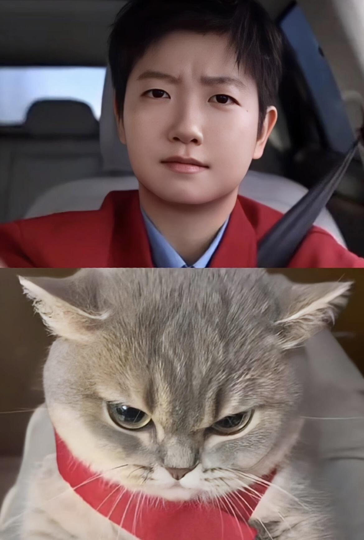 这明明是一模一样，莎莎的这个表情太像小猫了。可爱的小猫咪，这是莎莎拍摄的红旗