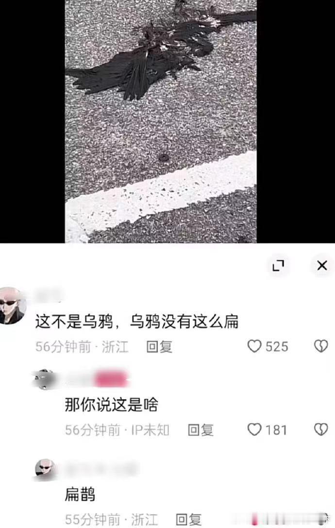 4835笑死我了哈哈哈哈​​​
