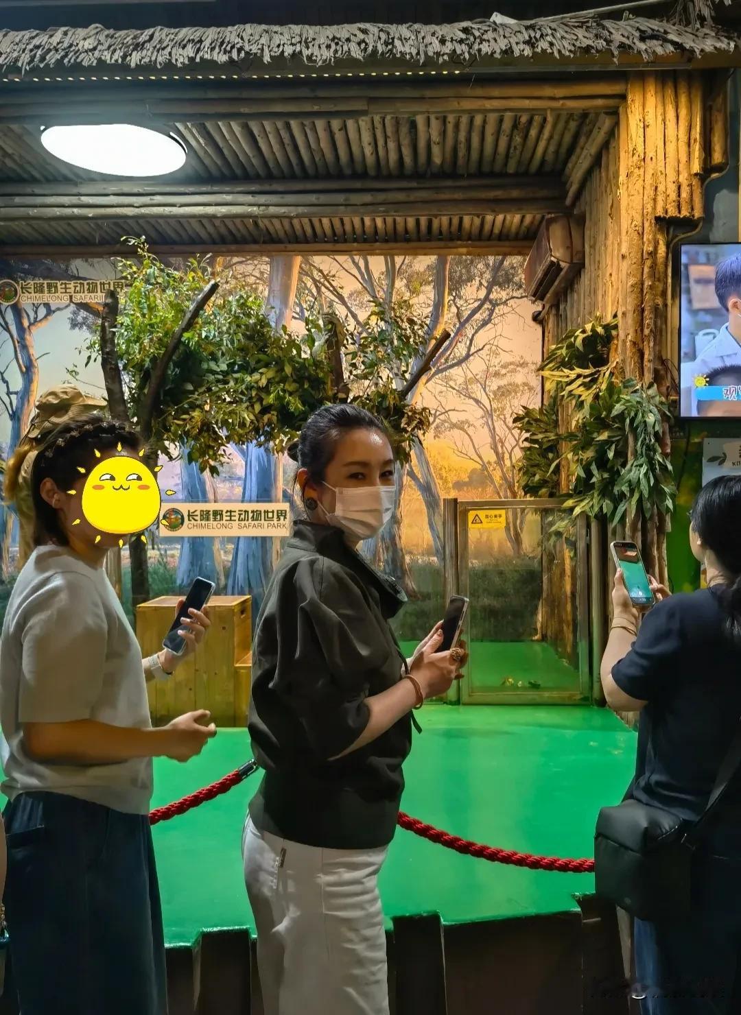 秦海璐和老公王新军带着儿子现身广东长隆野生动物园。秦海璐扎着丸子头，戴着口罩素