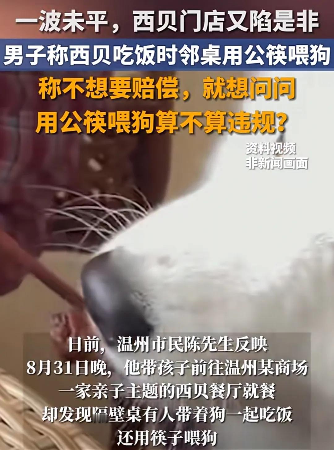 西贝摊上“公筷喂狗”事件，贾国龙又一次头大了，不过这次可能真怪不了西贝。没想到同