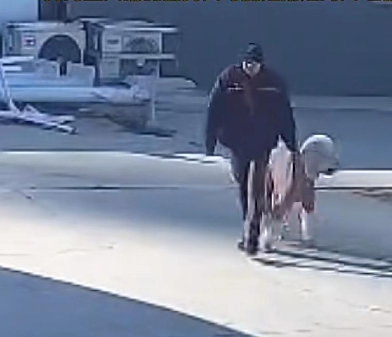 别人家的狗拿的这么正大光明河北，一男子一觉醒来，发现家里养的五位数的狗竟然不见