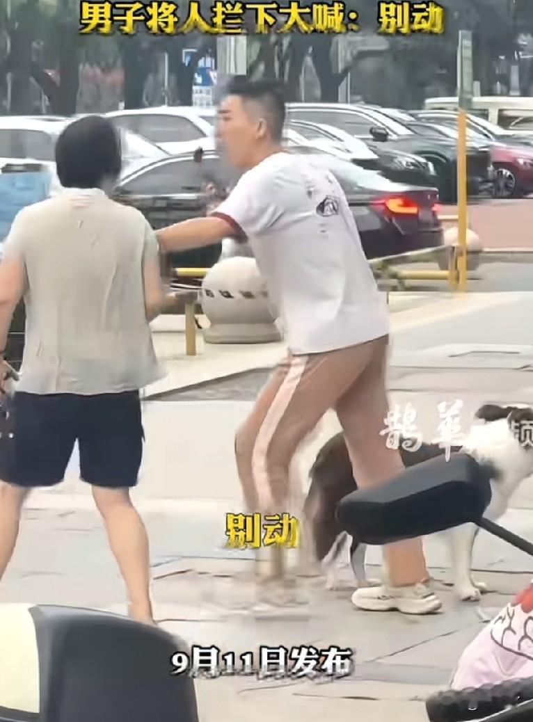 遛狗不牵绳，咬了人还想逃？9月11日，江苏常州一处街头，一个大妈带着一条哈士