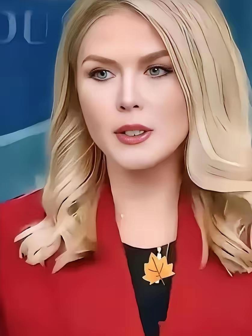 就在刚刚美国白宫表态2026年3月18日，风波再起的不是别处，是全球能源