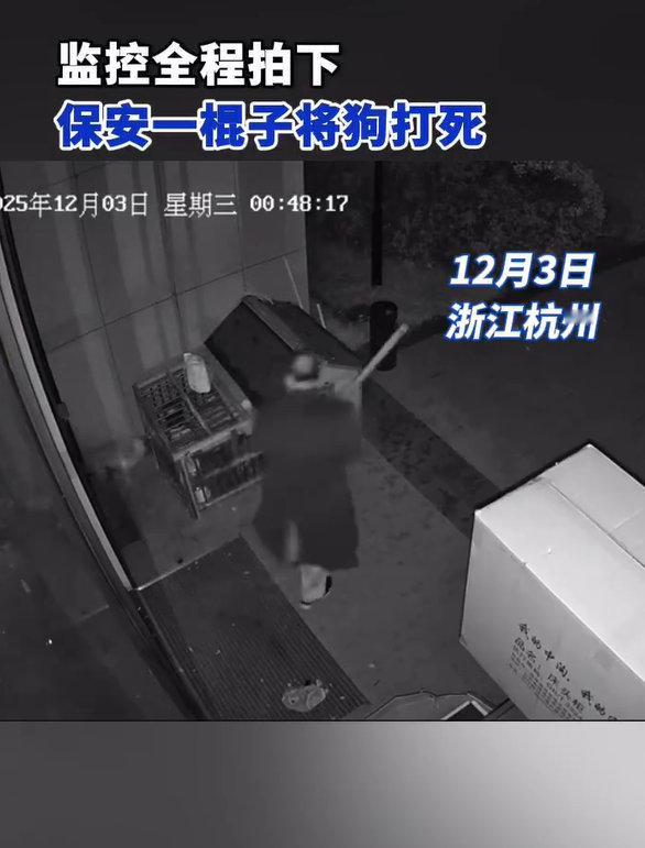 【保安半夜棍棒打死宠物狗】主人回应狗被保安一棍打死12月3日，浙江杭州，张女士