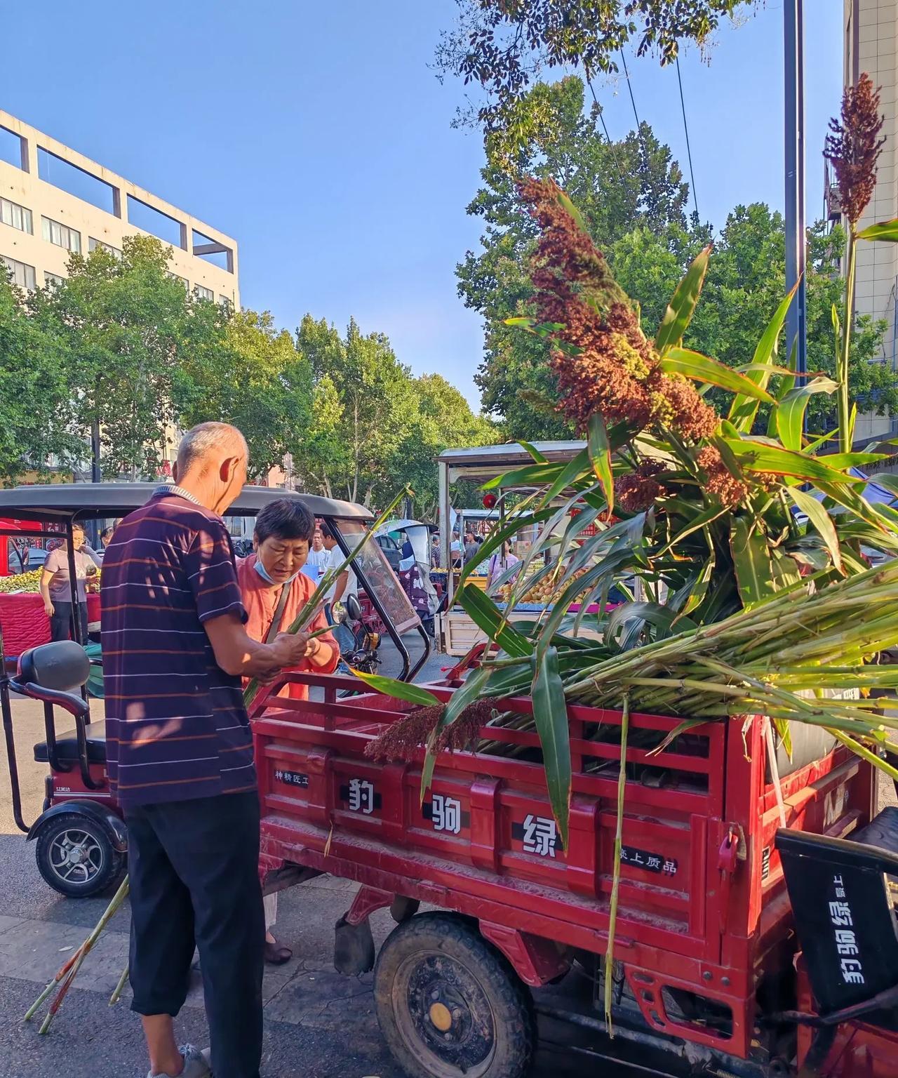 这个大叔有经济头脑。8月12日，坐标西安，今天我见了个稀奇玩意，刚才路过时，看