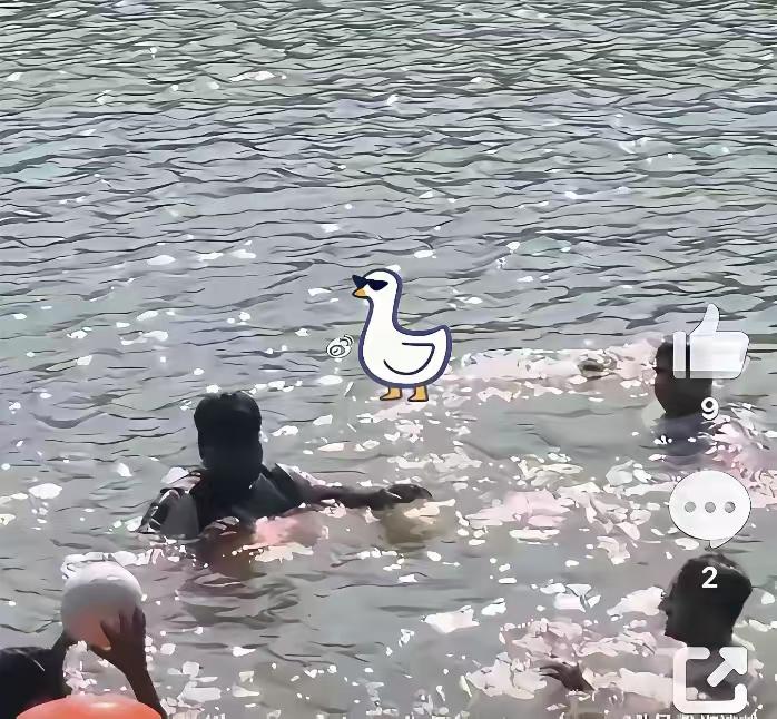 我有一招治阿三下河流湖泊洗澡的办法，凡事阿三经常出没洗澡的河流湖泊，放条鳄鱼，