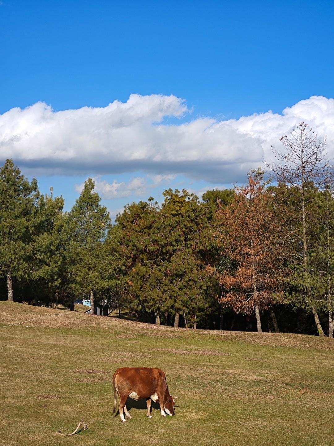 中老年人为人处世的诀窍第一，要做一个心狠的人，心狠不代表不善良，而是关键