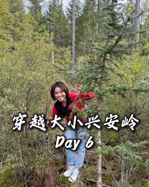 汤旺石林国家森林公园是少有的，原始地貌保存得较好的地方。特别棒。森林公园最爱自