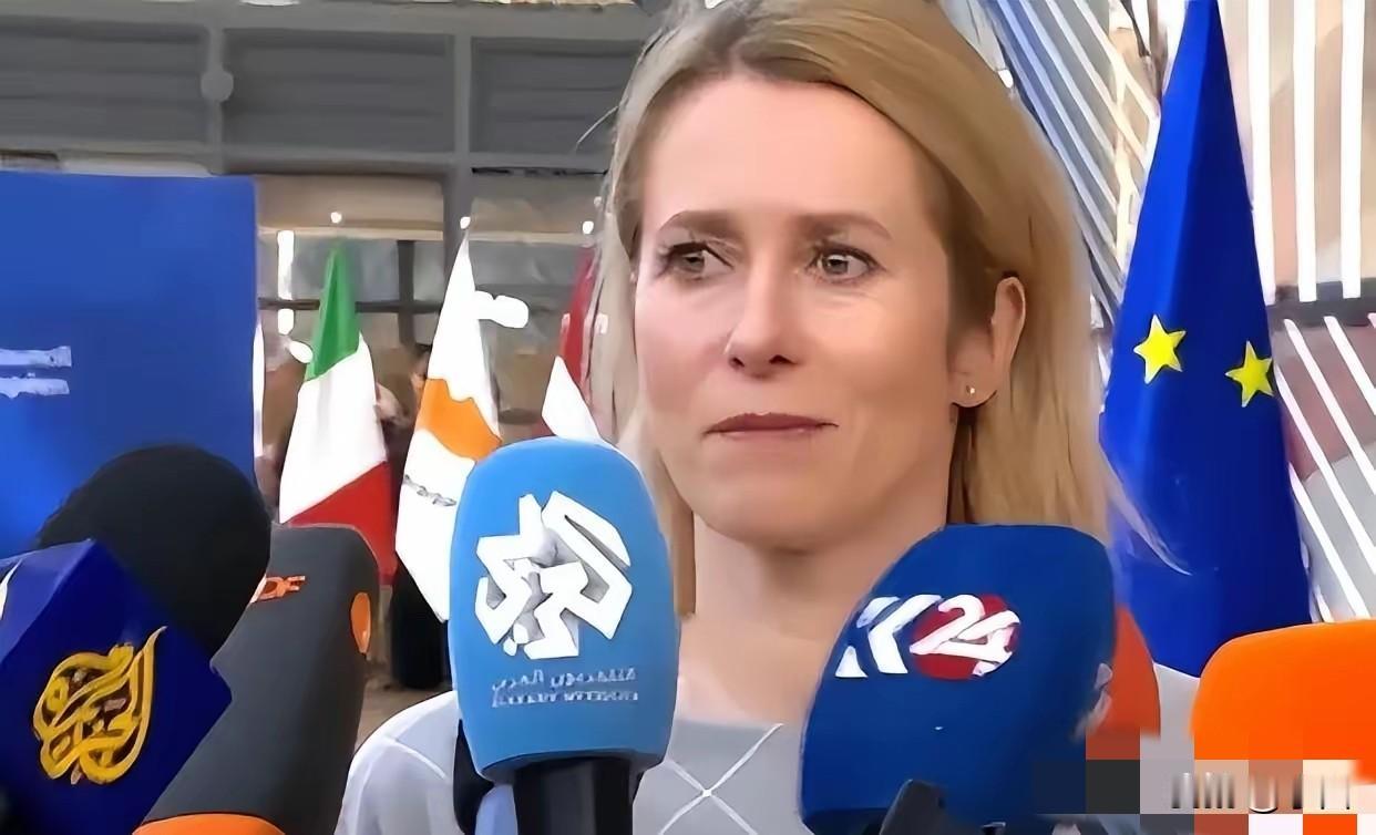 卡拉斯脑子进水了？幕安会还做着联美抗中的大梦？特朗普是美国优先！收割不了中国，先