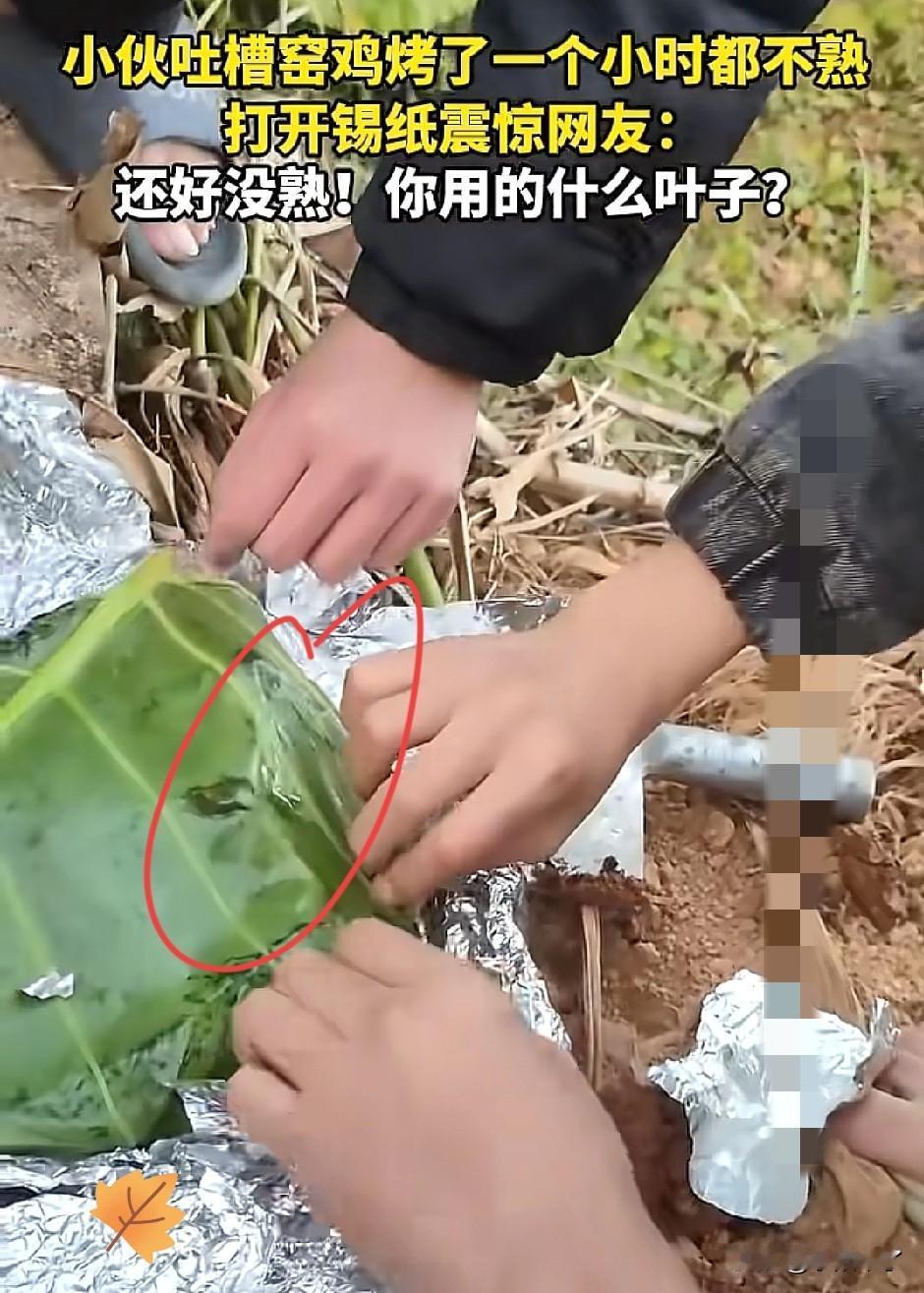 “解释不清了！”广东，俩小伙在山上自制窑鸡，不料，折腾俩小时鸡没熟，发视频求助网