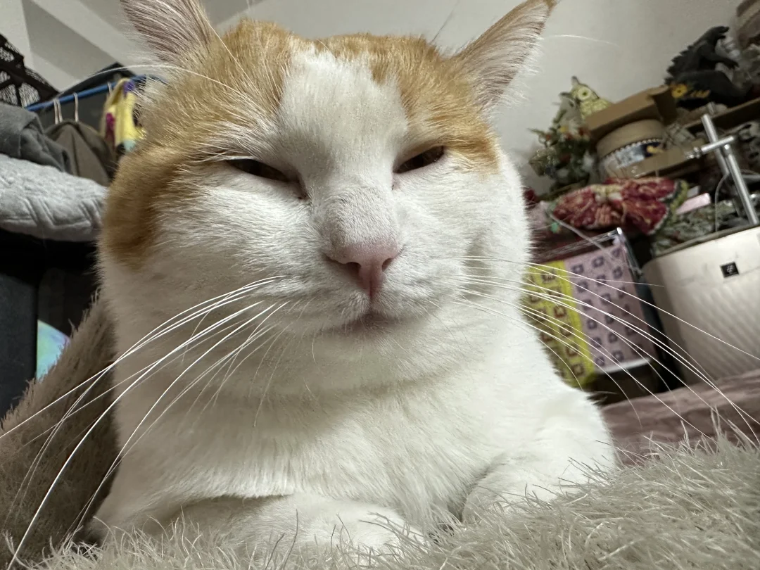 马上要回老家了