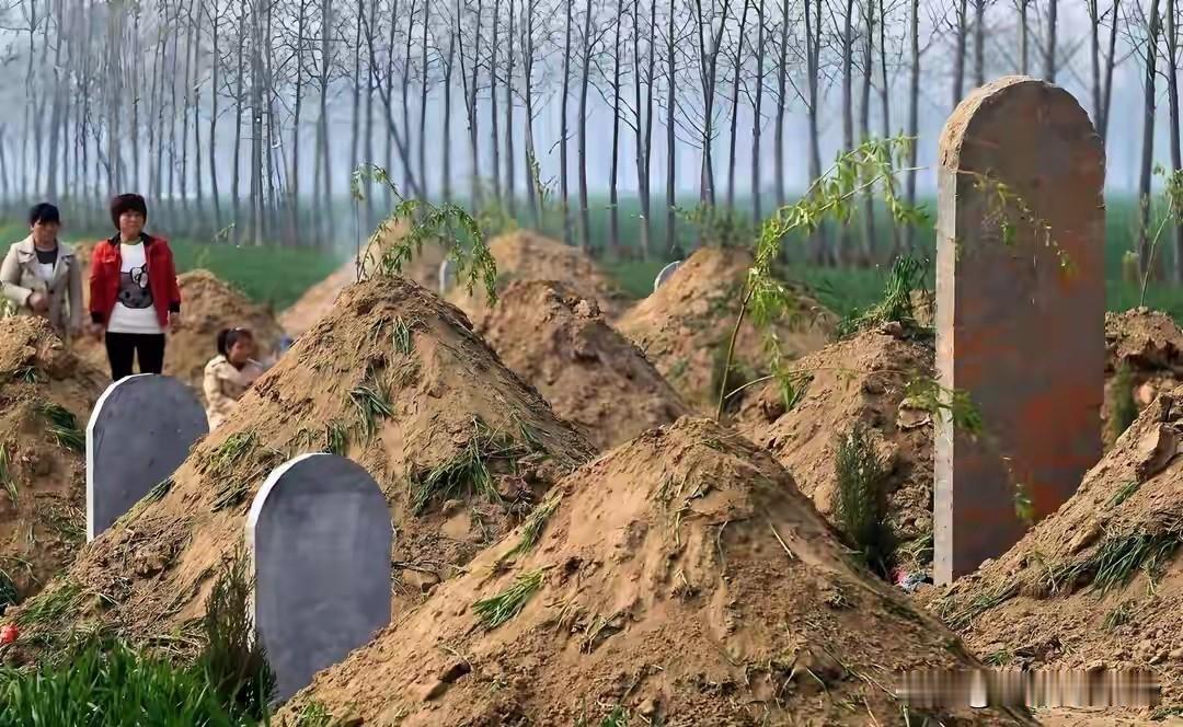 不是迷信，2026年清明不一般，提醒大家：上坟牢记5人不去，3人必去。20